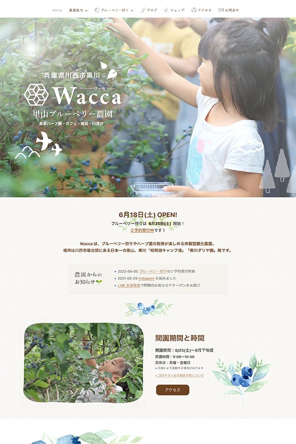 ブルーベリー農園 WaccaのWebサイト